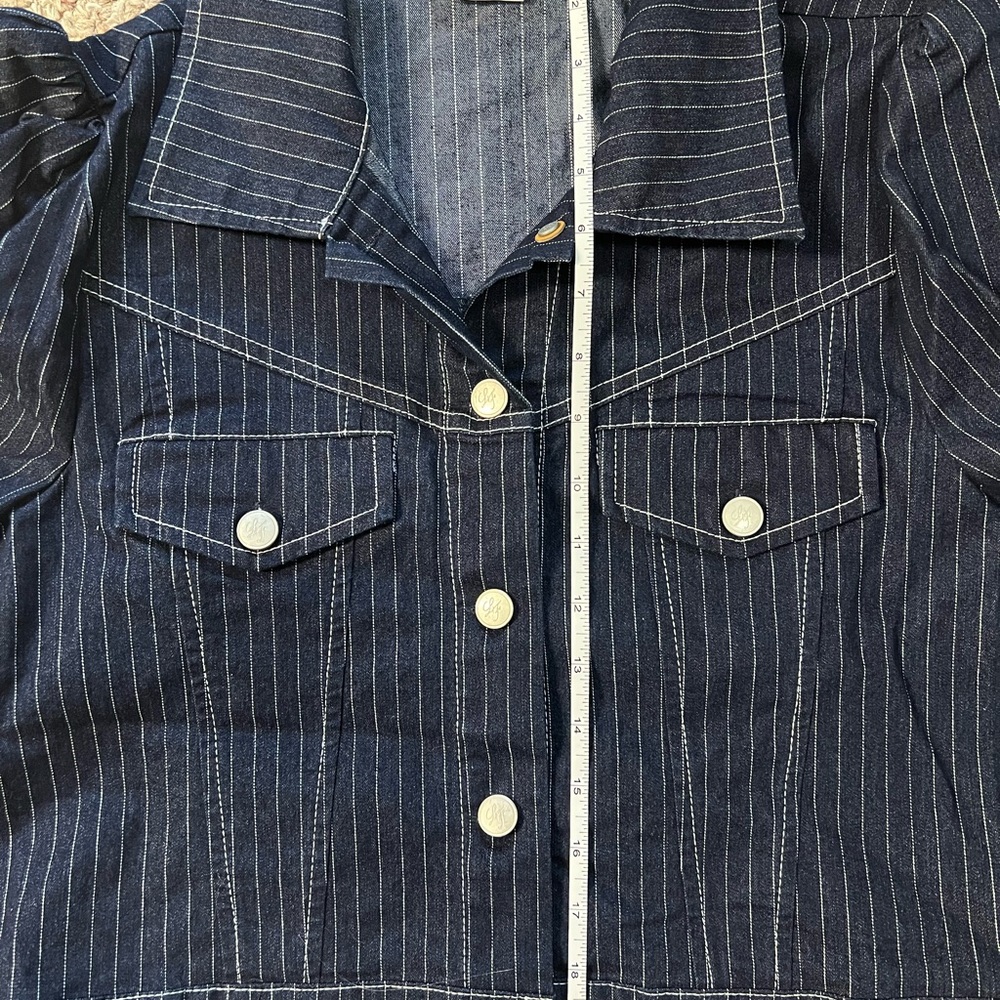 Lovers + Friends Pinstripe Denim Jacket - Picture 9 of 10